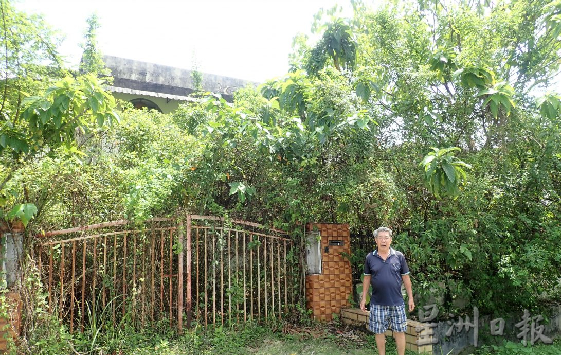 霹/空置房屋树木丛生邻居饱受干扰吁市议会处理