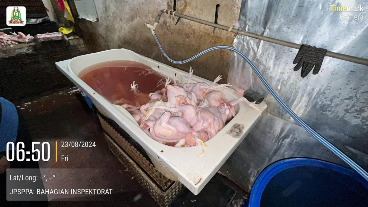 非法经营+太肮脏 乌雪市会查封4宰鸡厂