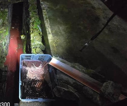 非法经营+太肮脏 乌雪市会查封4宰鸡厂