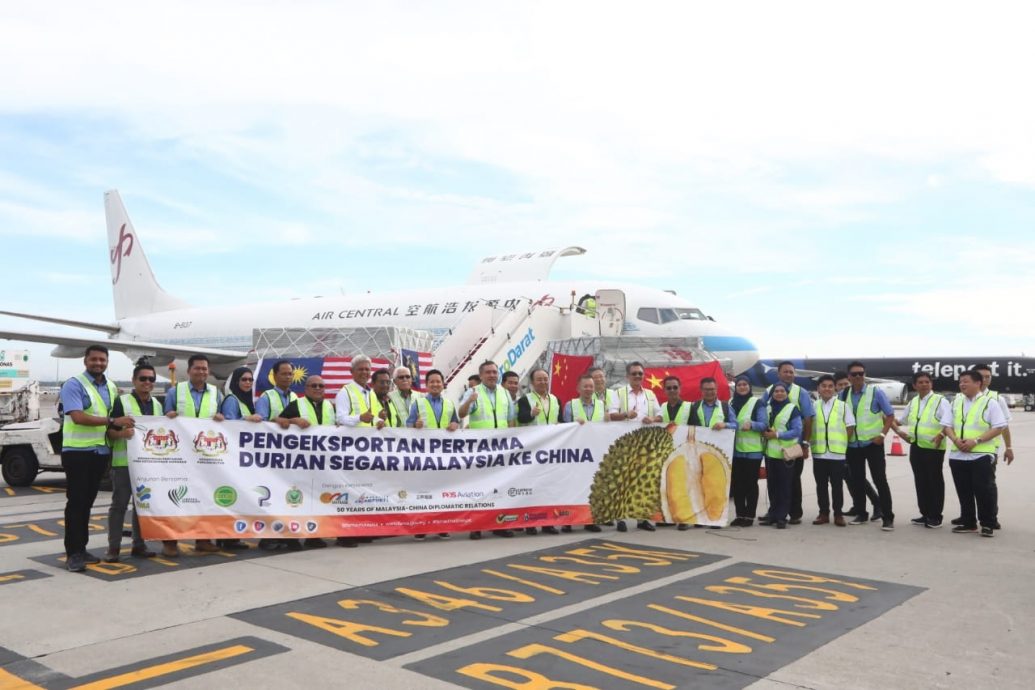 首发航班今挥旗起飞 马首批15吨榴梿出口中国