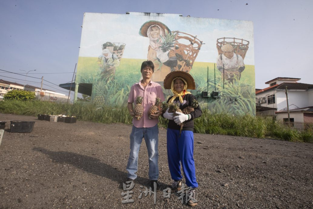 (22日刊)星角摄/图说大马:人文壁画艺术工作者蔡文涛