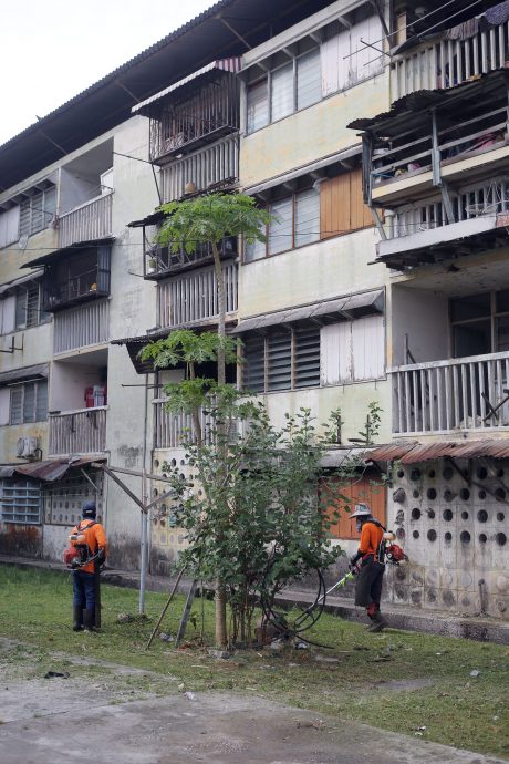 (7/8见报)【星角摄】别买椟还珠 误了华大伟组屋