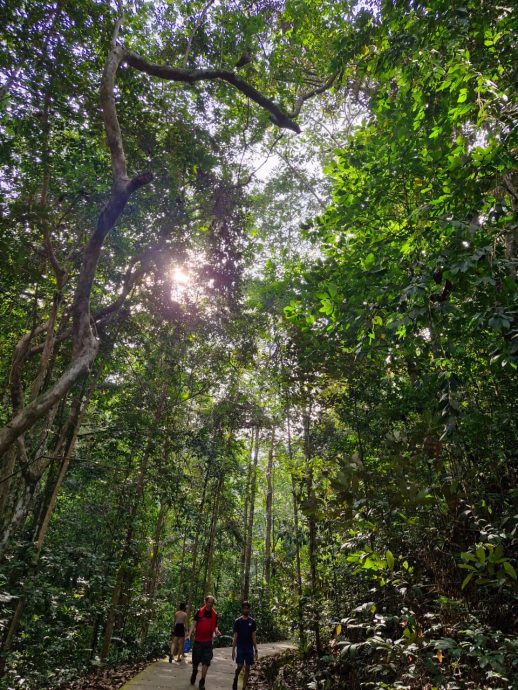 (8月9日刊)半岛心旅行 | 探索居銮邂逅自然 南峇山壁画街乐趣多