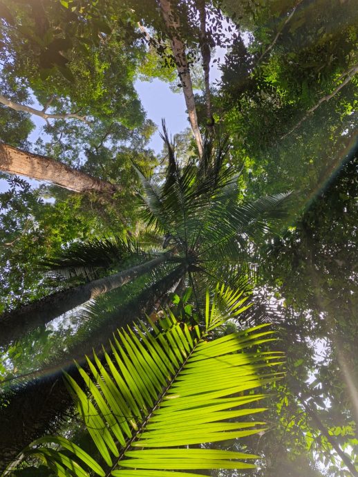 (8月9日刊)半岛心旅行 | 探索居銮邂逅自然 南峇山壁画街乐趣多