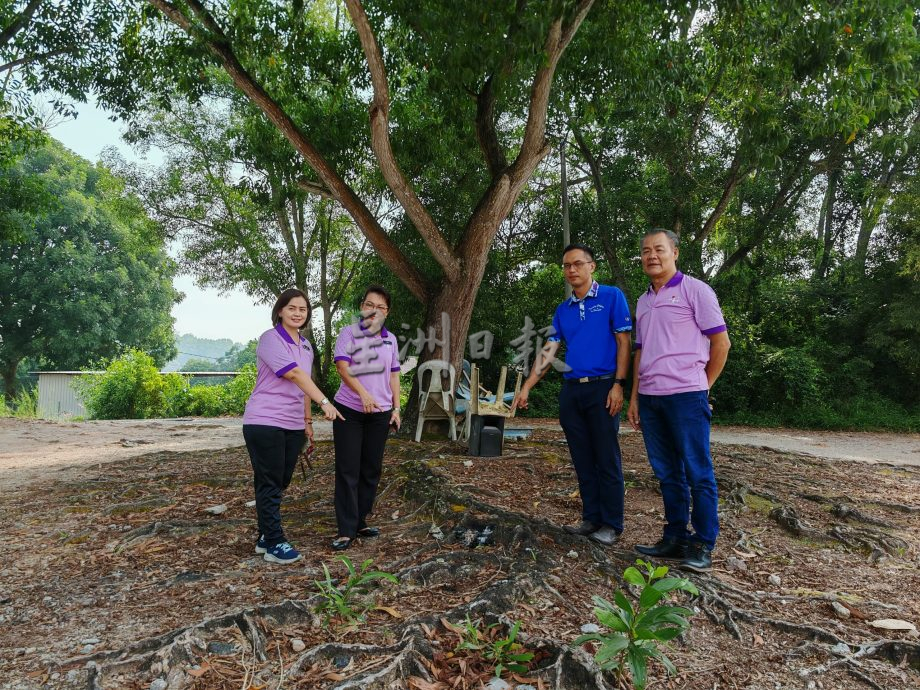 (古城第三版主文)螫伤10多名学生,晋巷学校终于找出并成功除掉蜂窝