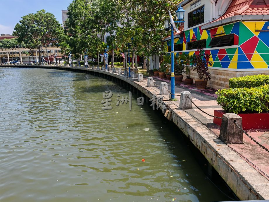 (古城第二版主文)甘榜摩登频频出现鳄鱼,这星期将设捕捉笼子