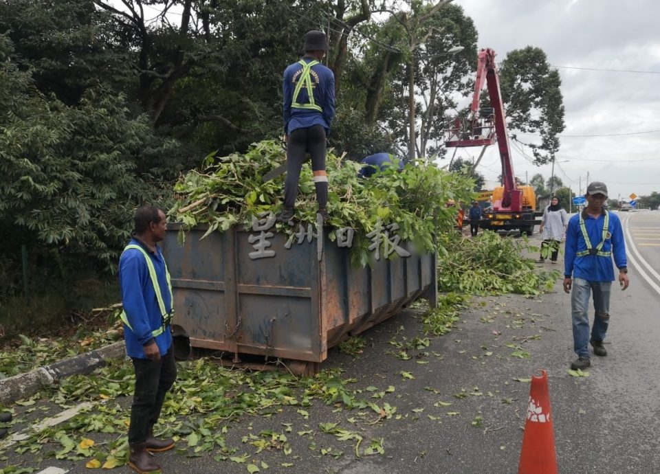 (古城第六版主文)万里茂诊所至旧镇道路树木茂盛存在安全隐患