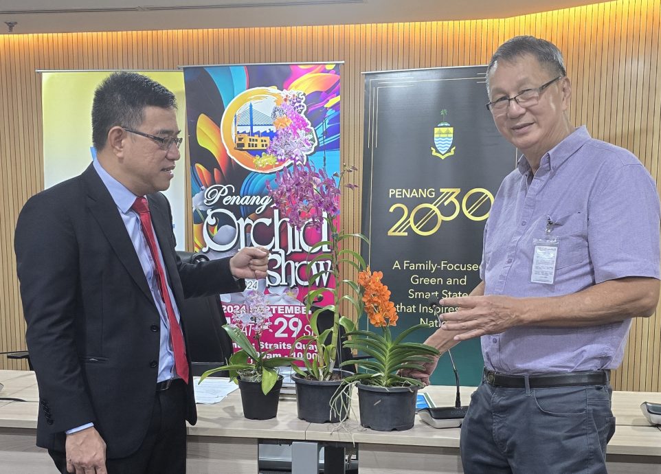 (大北马)2024年槟兰花展办在海峡岸广场,将展出“林吉祥”新品种兰花