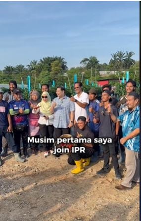 (已上网)不信种辣椒月入5000令吉? 拉菲兹:有人一季达3万令吉!