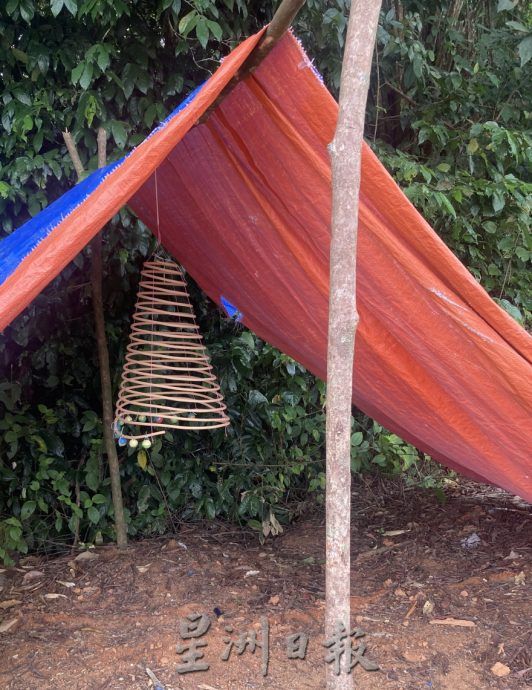 (已签发)柔:**封面**野象出没彼咯巴当 逾千棵香蕉、油棕树遭破坏啃食