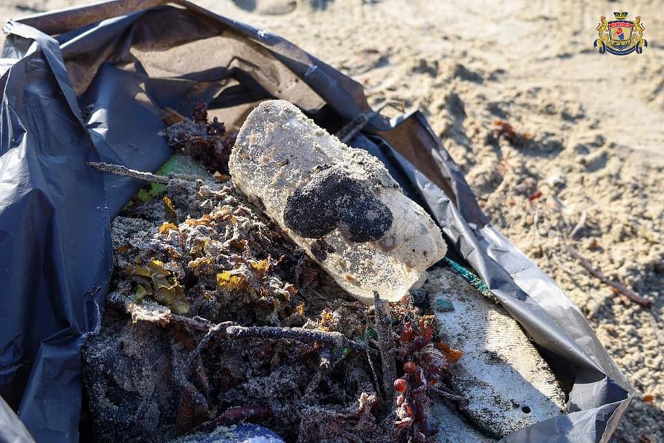 (已签发)柔:边佳兰市议会净滩活动 清理454.8公斤垃圾与焦油球