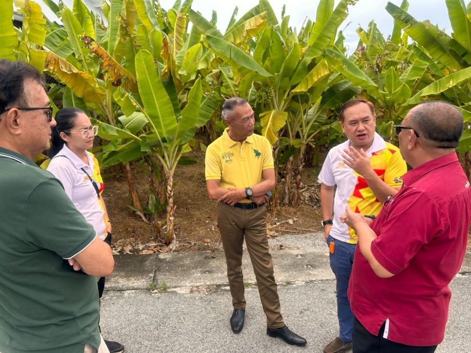 (版2头)大都会-眼镜蛇袭雪邦新村