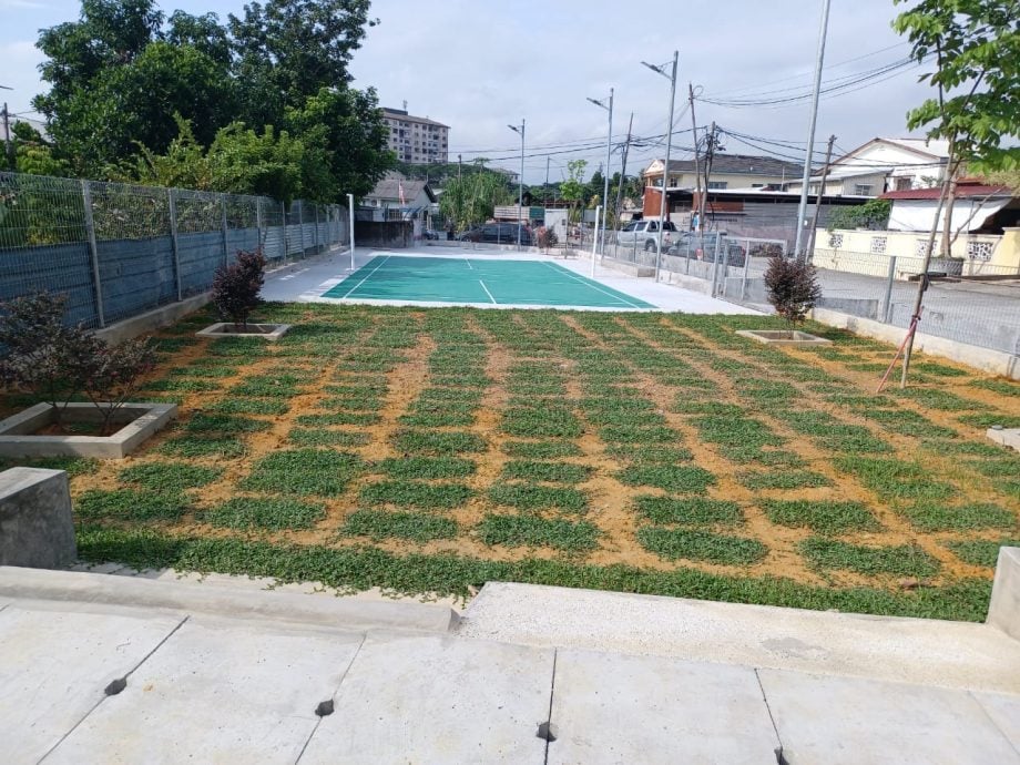 (版2头)大都会/辗转13年,仙水港村一段占地逾3000方尺的公园休闲地终于辟为羽球场