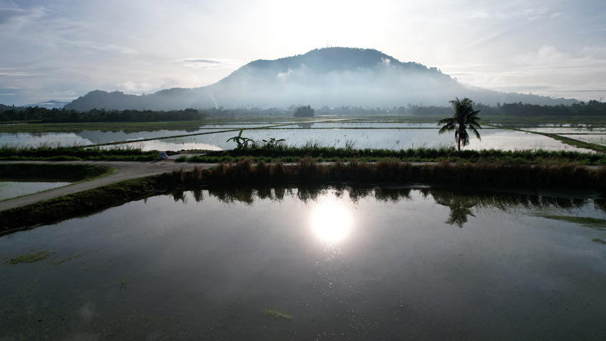 Kim Teoh/卧龙 传说