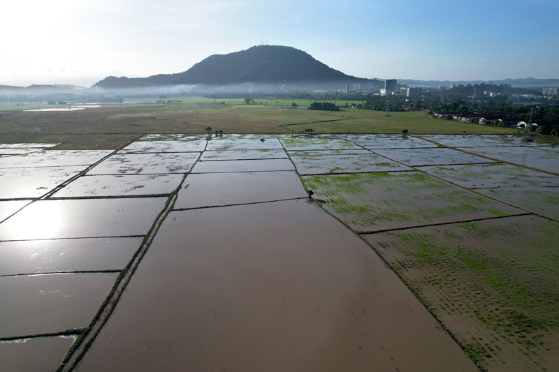 Kim Teoh/卧龙 传说