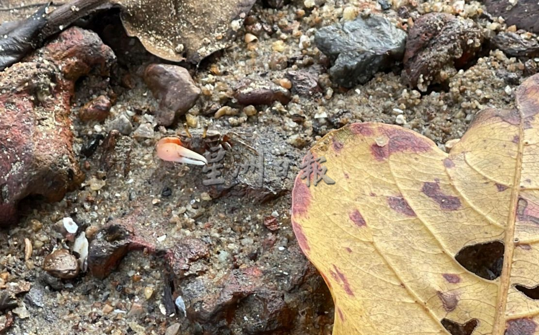 【星角摄】:海水为你分开的陆连岛