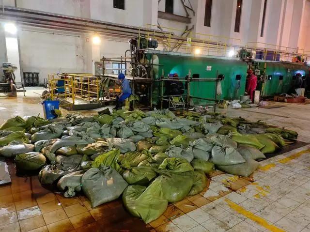 8天抓105公吨 浙江发电厂“海蜇大作战 ”