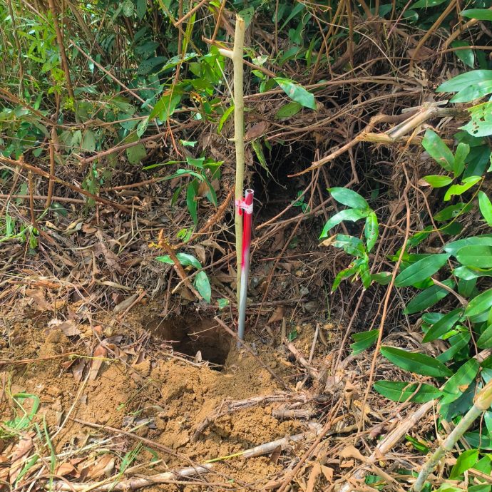 东:吉兰丹广东会馆义山地段被60多户人家侵占,该会本月将正式入禀法庭,以捍卫会馆的权益。