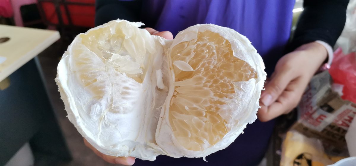 东:中秋节柚子吸引友族,沙巴甜柚空降抢市。