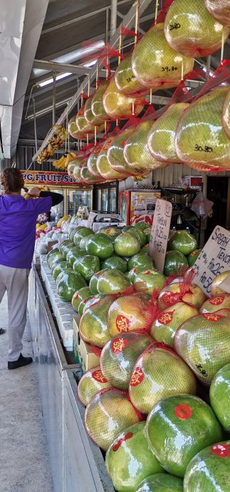 东:中秋节柚子吸引友族,沙巴甜柚空降抢市。