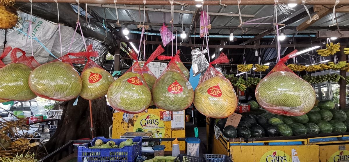 东:中秋节柚子吸引友族,沙巴甜柚空降抢市。