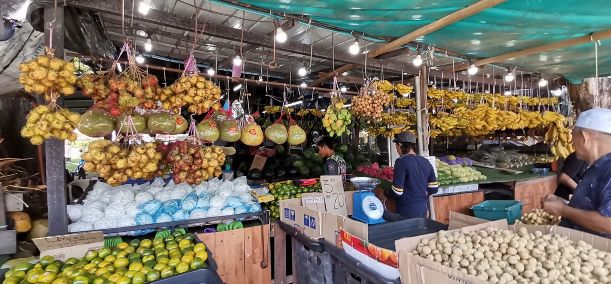 东:中秋节柚子吸引友族,沙巴甜柚空降抢市。