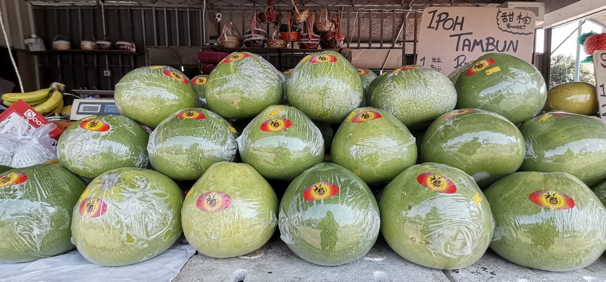 东:中秋节柚子吸引友族,沙巴甜柚空降抢市。