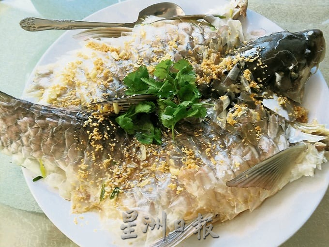 东:北马兴吃鱼鳞片,本地热不起。