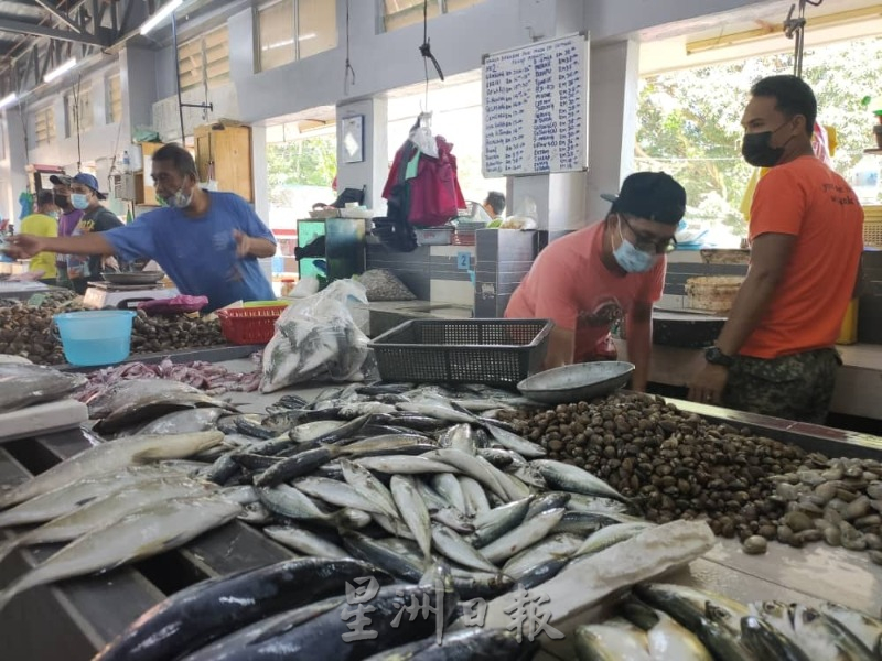 东:北马兴吃鱼鳞片,本地热不起。