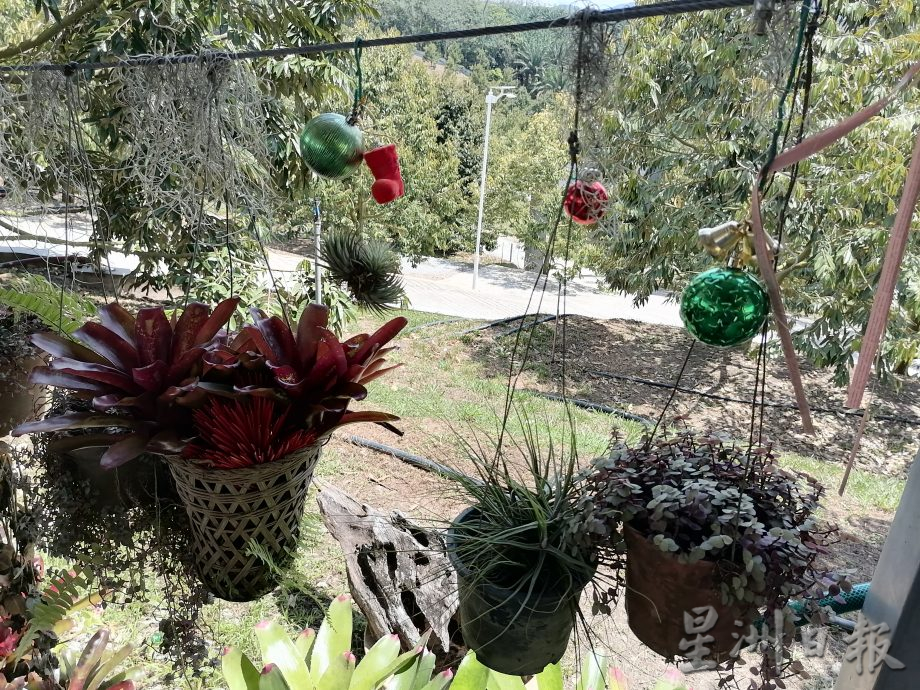 东:情牵花草化腐朽为艺术