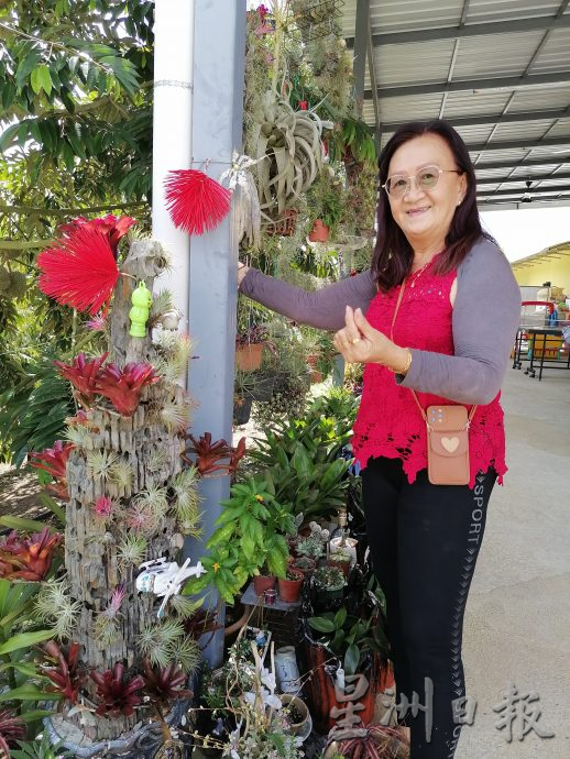 东:情牵花草化腐朽为艺术