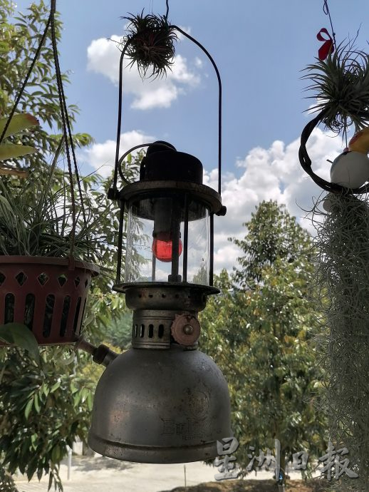 东:情牵花草化腐朽为艺术