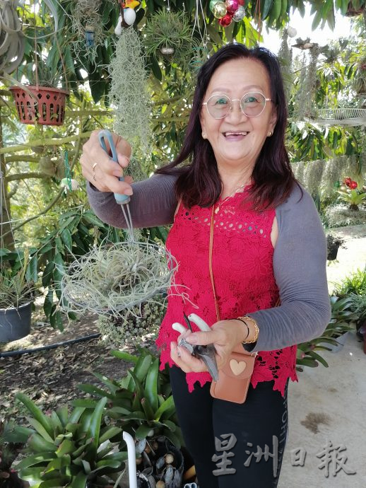 东:情牵花草化腐朽为艺术