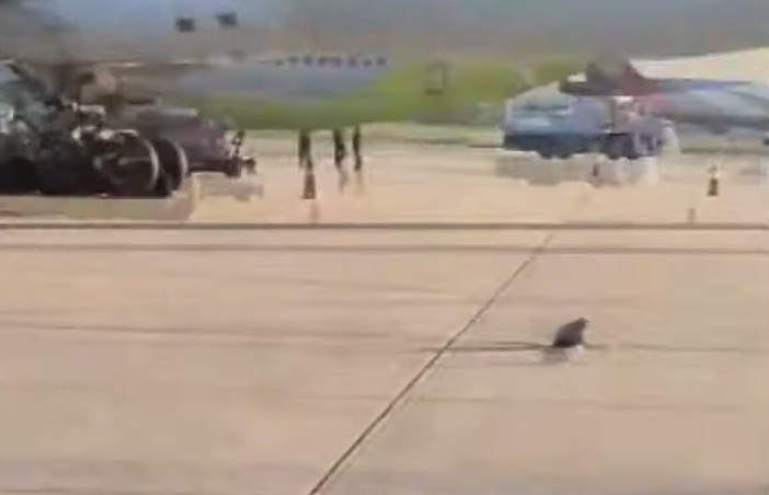 仁川机场因垃圾汽球两度暂停起降 韩军警告:若触线将采军事措施