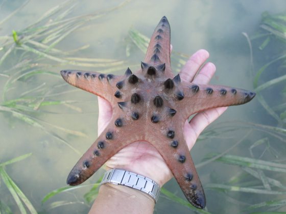 Fkwyq240901 02 Fz100254744006