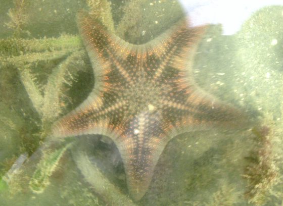 Fkwyq240901 03 Fz100254744008