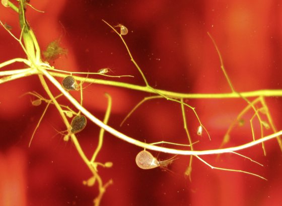 Fkwyq240915 02(55619648) 20240923091928