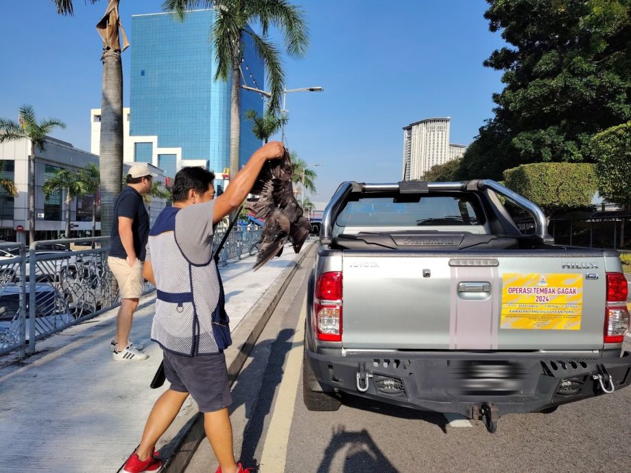 大都会-灵市政厅办射鸦行动/2图