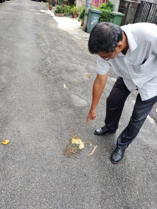 大都会3副文-余保凭有关泗岩沫盛兰园树木问题/5图