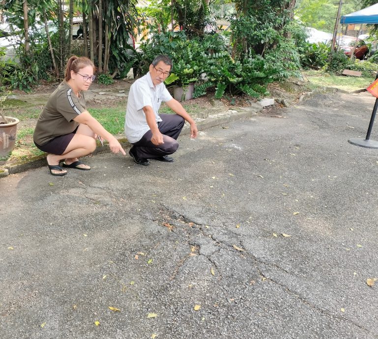 大都会3副文-余保凭有关泗岩沫盛兰园树木问题/5图