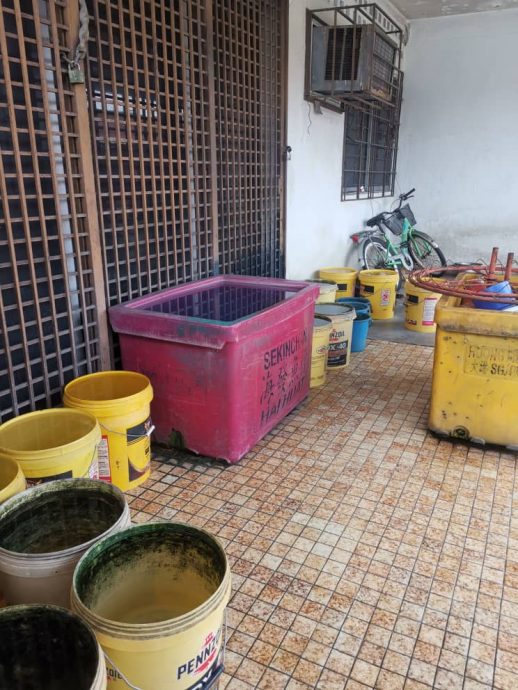 大都会/封面/甲洞区骨痛热症过去2个月内有上升迹象