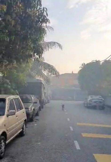 大都会/毗邻住宅区非法垃圾土埋场“死灰复燃”,居民盼当局采取行动