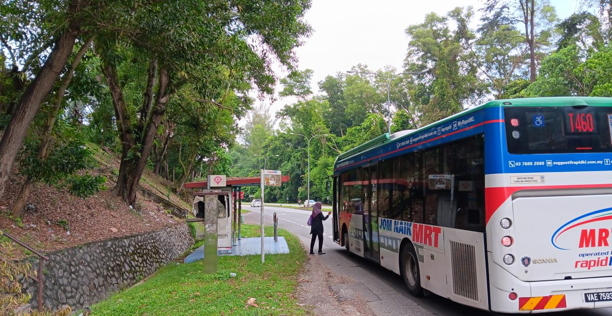 大都会/强风雨频繁来袭,士毛月路多大树引发倒下危机/4图