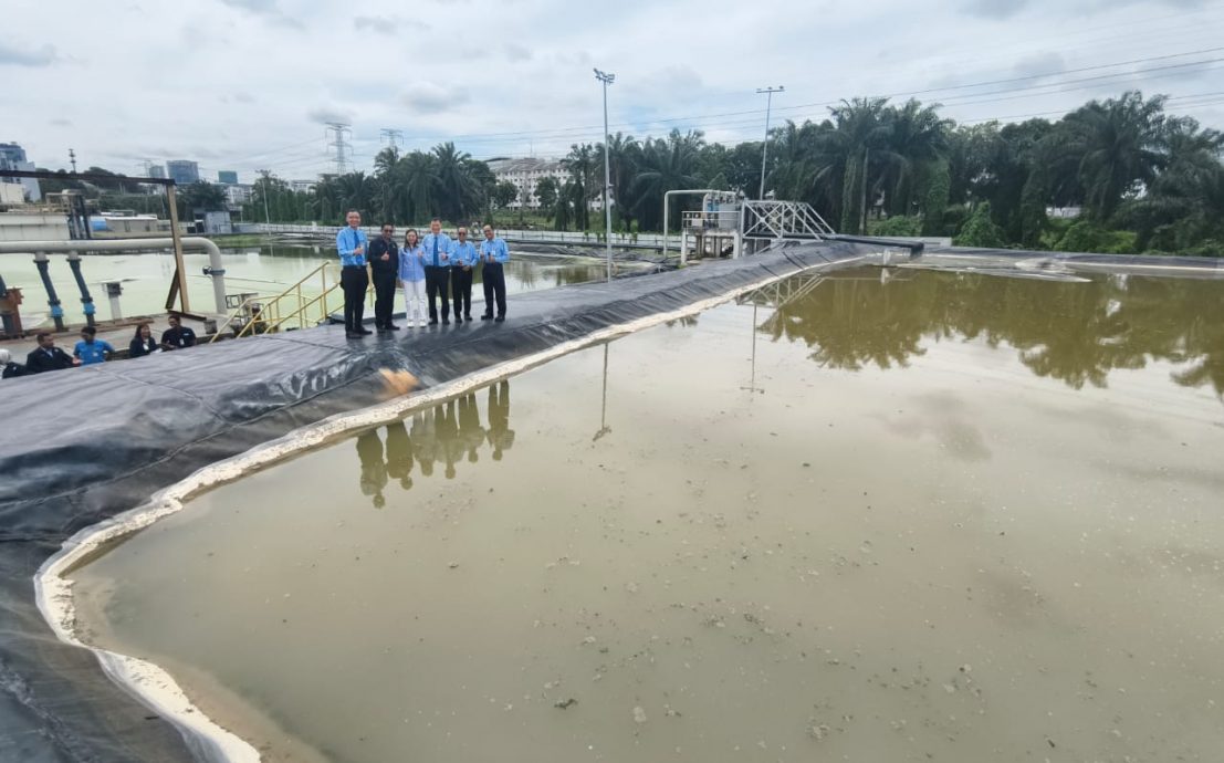 大都会/ME03头/顶级手套成雪州首家获“零排放”执照厂家!