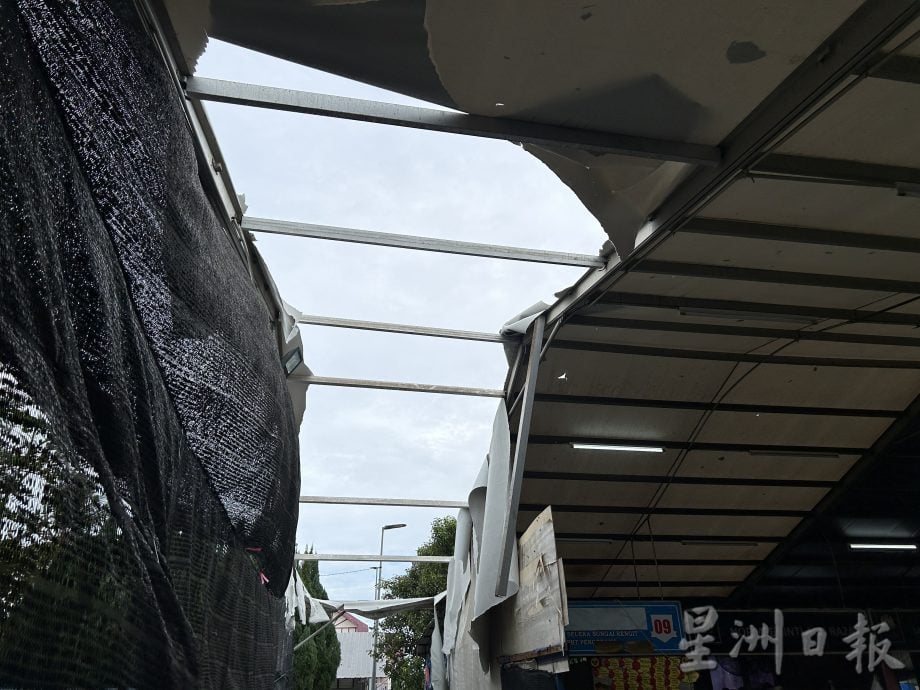 *已签发* 柔:四湾遭暴雨袭击 树倒招聘掉落