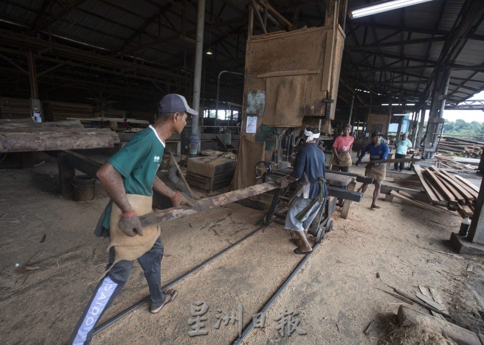 *已签发* 柔:封面【特稿下篇】柔佛木业加工的生死存亡,从辉煌走向衰落