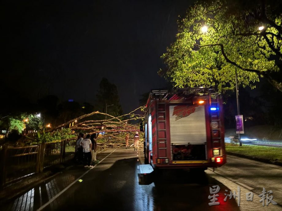 *已签发* 柔:封面:强风暴雨来袭 多个地区遭受破坏