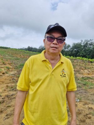 *已签发* 柔:新闻:野象出没令金路果园 令园主损失惨重