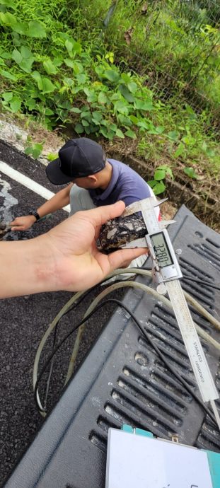 古来5新村铺路工程不达标,沥青厚度50毫米变18毫米