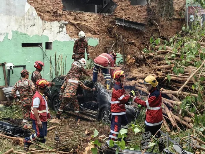 快讯/ 大树倒下压车 车内2人恐毙命